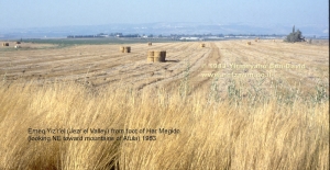 Emeq Yizr'el looking NE from foot of Har Megido toward mountains of Afula